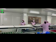 55-Zoll-WLAN-verbundene digitale Blackboard für den Unterricht eingebaute Lautsprecher